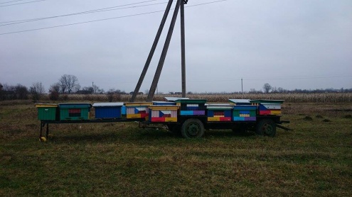 Podpora velrov na Ukrajine